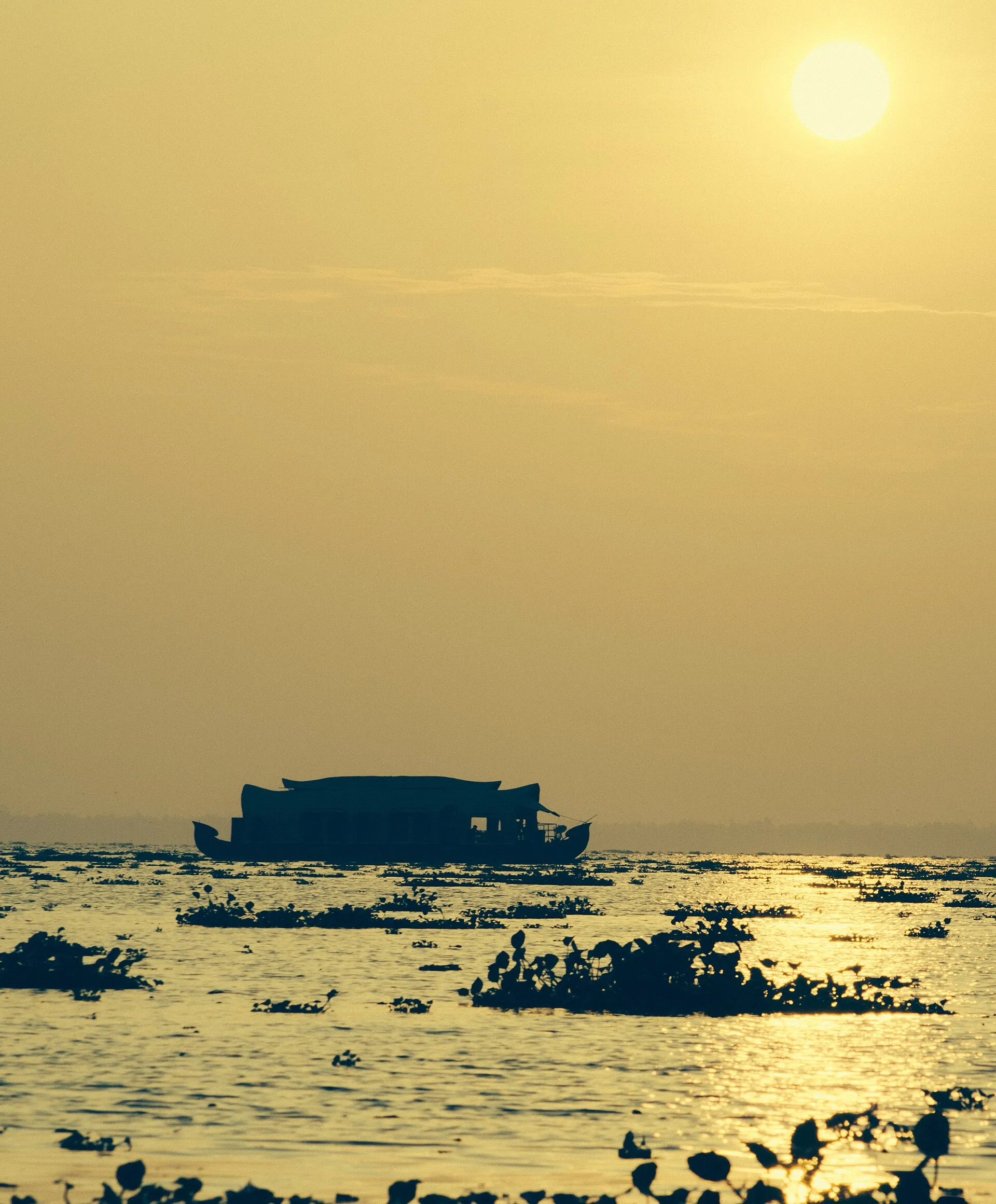 Conference Houseboat — private houseboat cruise on the Alleppey backwaters, Kerala