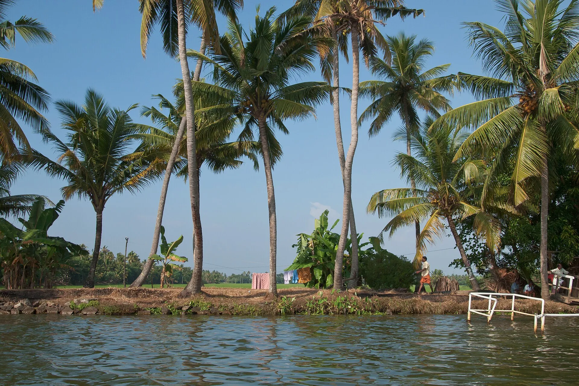 Day Cruise Experience — private houseboat cruise on the Alleppey backwaters, Kerala