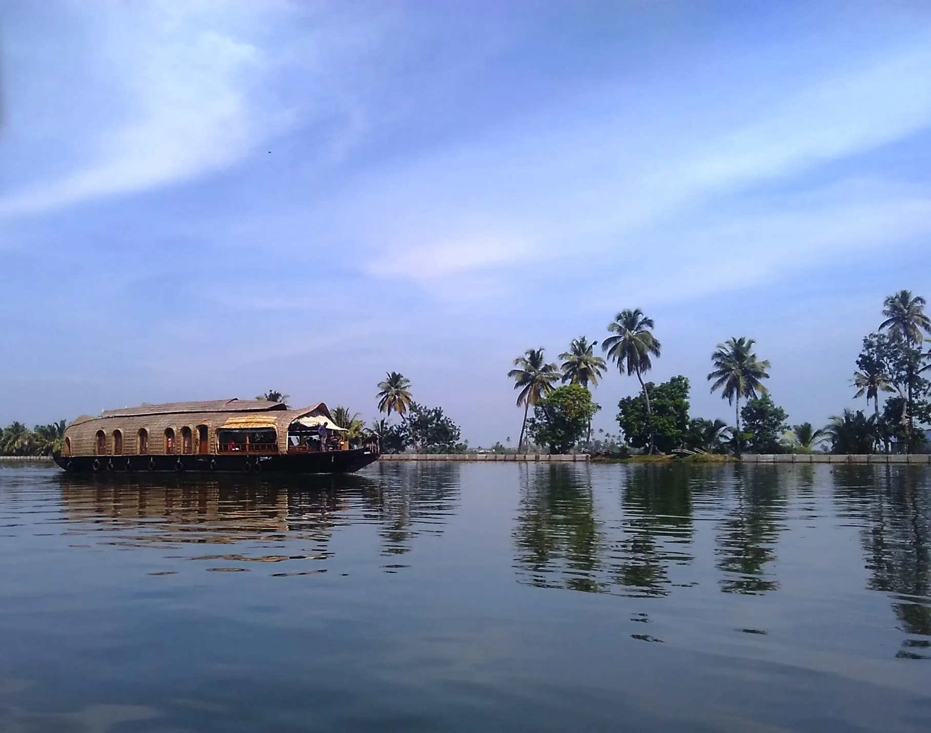 Paddy fields and coconut groves along the Alleppey backwaters