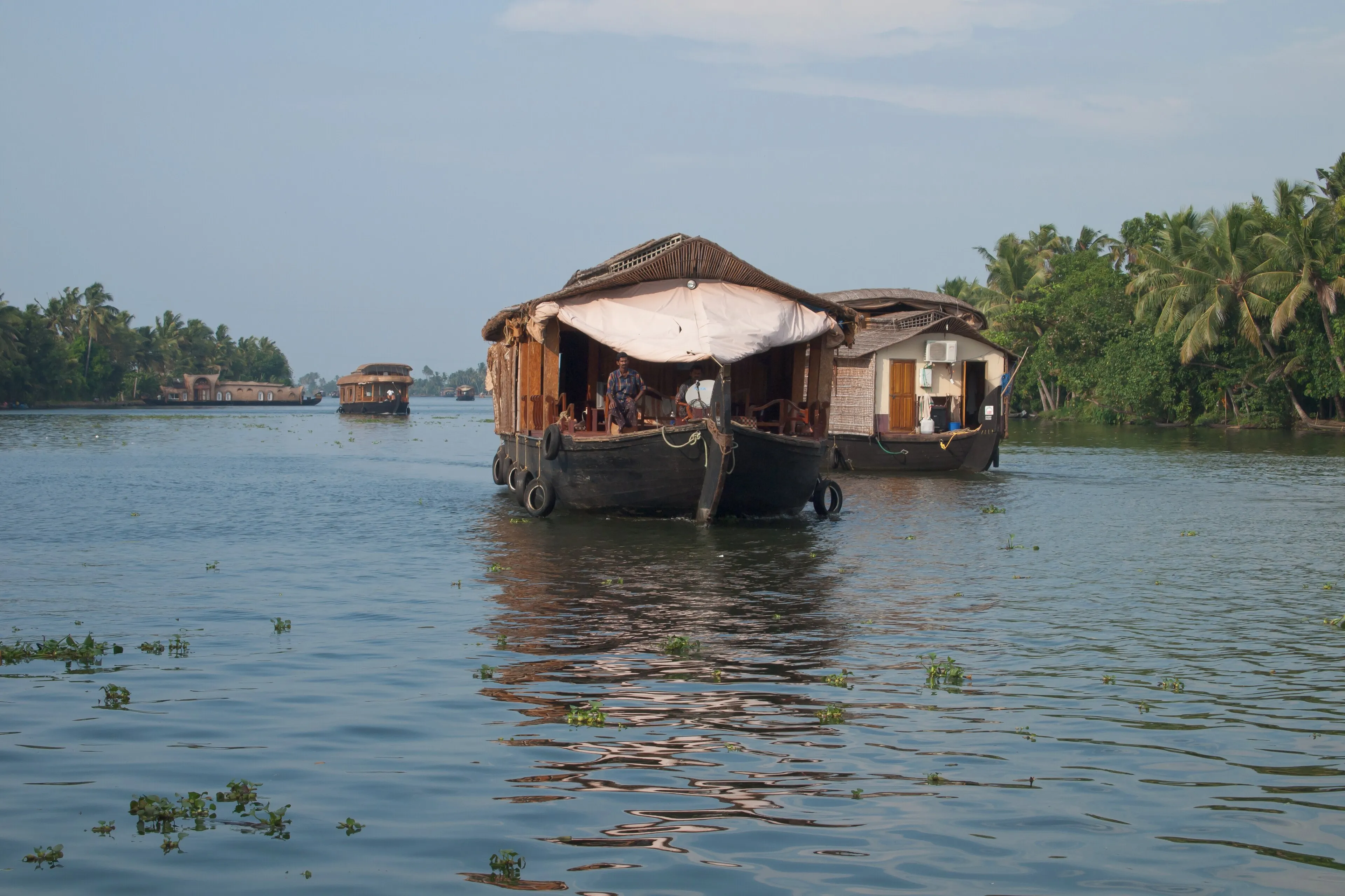 Alleppey houseboat gliding past lush paddy fields and coconut groves reflected in still backwater